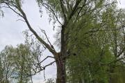 20260515_161330.jpg