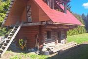 20260506_105551.jpg