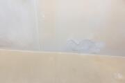 IMG_3484.jpeg