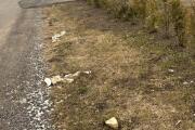 IMG_3627.jpeg