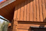 Mittel (IMG_3525).jpeg