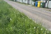 IMG_9658.jpeg