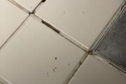 IMG_7942.jpeg