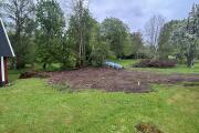 IMG_2345.jpeg