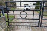 IMG_3516.jpeg