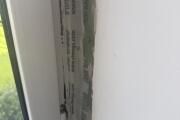 IMG_9782.jpeg