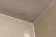 IMG_3480.jpeg