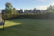 IMG_4769.jpeg