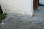 IMG_20260526_083755.jpg