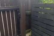 IMG_1950.JPEG