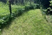IMG_8401.jpeg