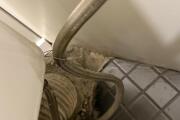 IMG_9745.jpeg