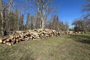 IMG_3208.jpeg