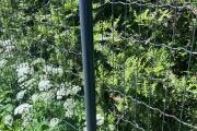 IMG_8400.jpeg