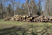IMG_3210.jpeg