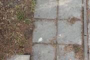 IMG_6522.jpeg