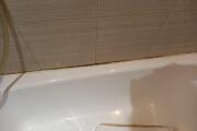 20260805_202406.jpg