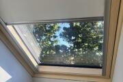 IMG_0187.JPEG