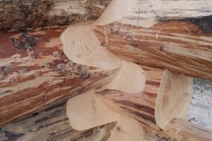 Самозажимающийся канадский угол.jpg