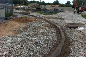 10556539_10203453636598897_1928451300549208903_n (1).jpg