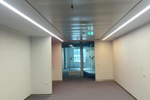 IMG_1935.jpeg