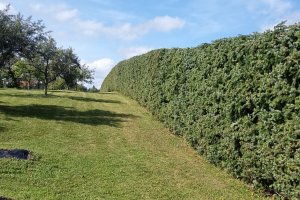 WhatsApp Image 2024-07-19 at 16.37.09_796ff0c5.jpg