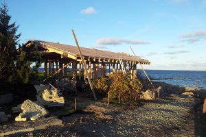 2011-11-09 15.06.26.jpg