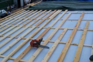 2011-12-14 09.38.12.jpg