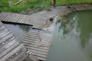 2012-06-03 17.40.26.jpg