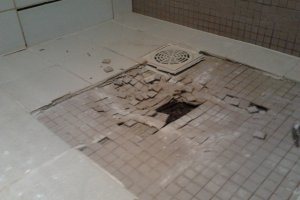 2012-08-11 09.53.33.jpg