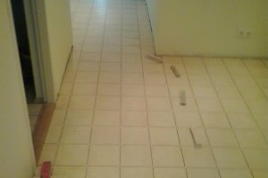 2012-11-22 14.24.44.jpg