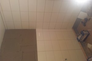 2012-11-26 12.53.55.jpg