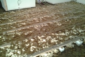 2013-10-22 08.08.25.jpg