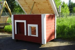 20150609_081247 (1).jpg