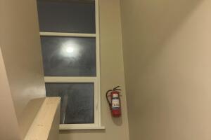 IMG_2504.jpeg
