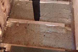 IMG_20230726_195231 - Copy.jpg