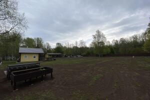IMG_6766.jpeg