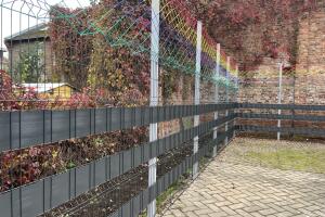 IMG_4815.jpeg