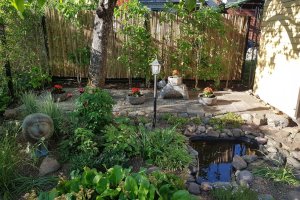 Hele bambuspiire Tartus 1.7 x5 m 1.jpg