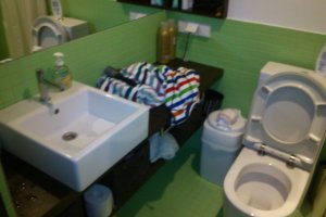 DSC_1037 WC Enne Koristust.JPG