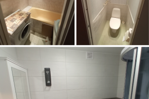 Haapsalu aiavilja 3.png