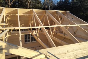 Maxim Hofmann 10.jpg