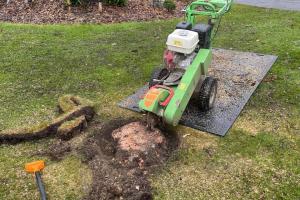 5913422664217333000 (1).jpg