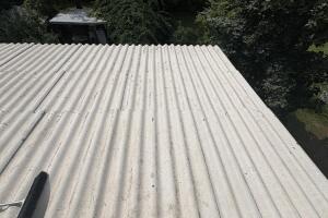 IMG_8424.jpeg