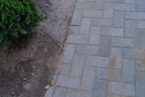 IMG_20260730_175511.jpg