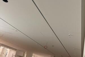 IMG_2099.jpeg
