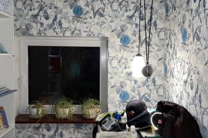 WhatsApp Image 2024-01-29 at 19.41.48_e2540748.jpg