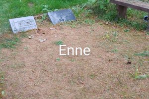 20201016_113747_HDR~2 (1).jpg