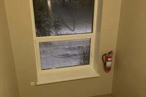 IMG_2501.jpeg