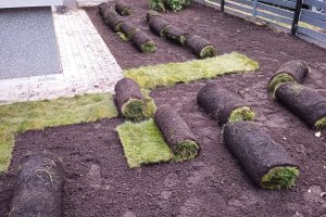 WhatsApp Image 2024-07-19 at 16.46.56_050dbd41.jpg